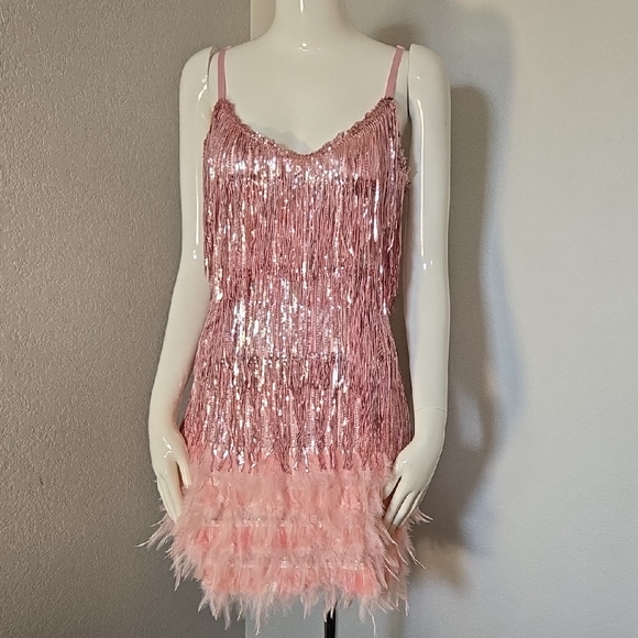 Pink Sequin Fringe Dress - Picture 3 of 6